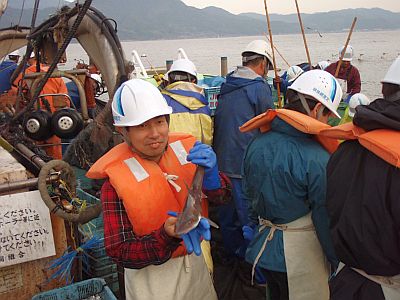 定置網漁業体験