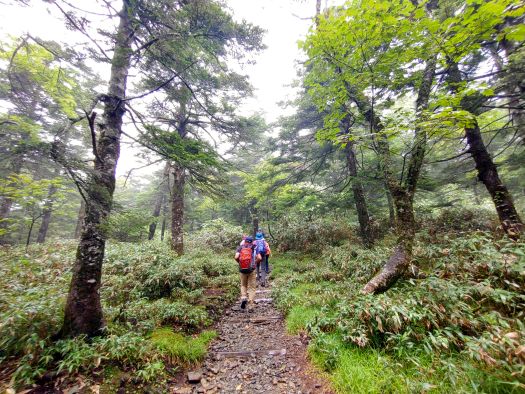 早池峰山